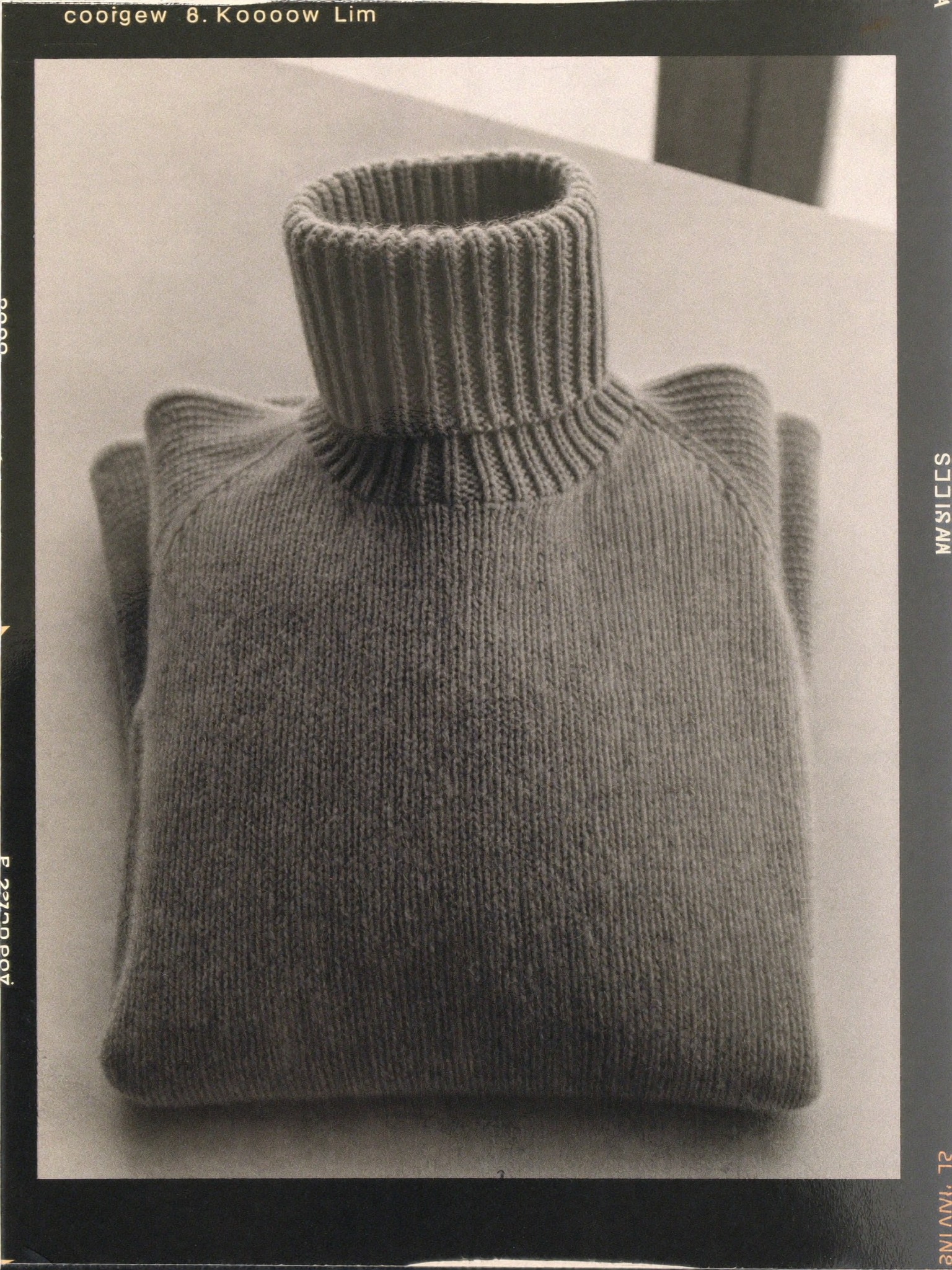 The Cashmere Turtleneck — Voss & Grey